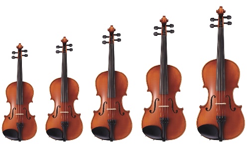 分数バイオリン.jpg