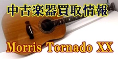 写真：【中古楽器買取情報】Morris Tornado XX |沼津店
