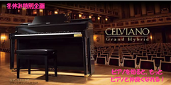 写真：「CASIO CELVIANO Grand Hybrid 」で学ぶ ピアノの歴史とピアノのしくみ｜SBS通り店
